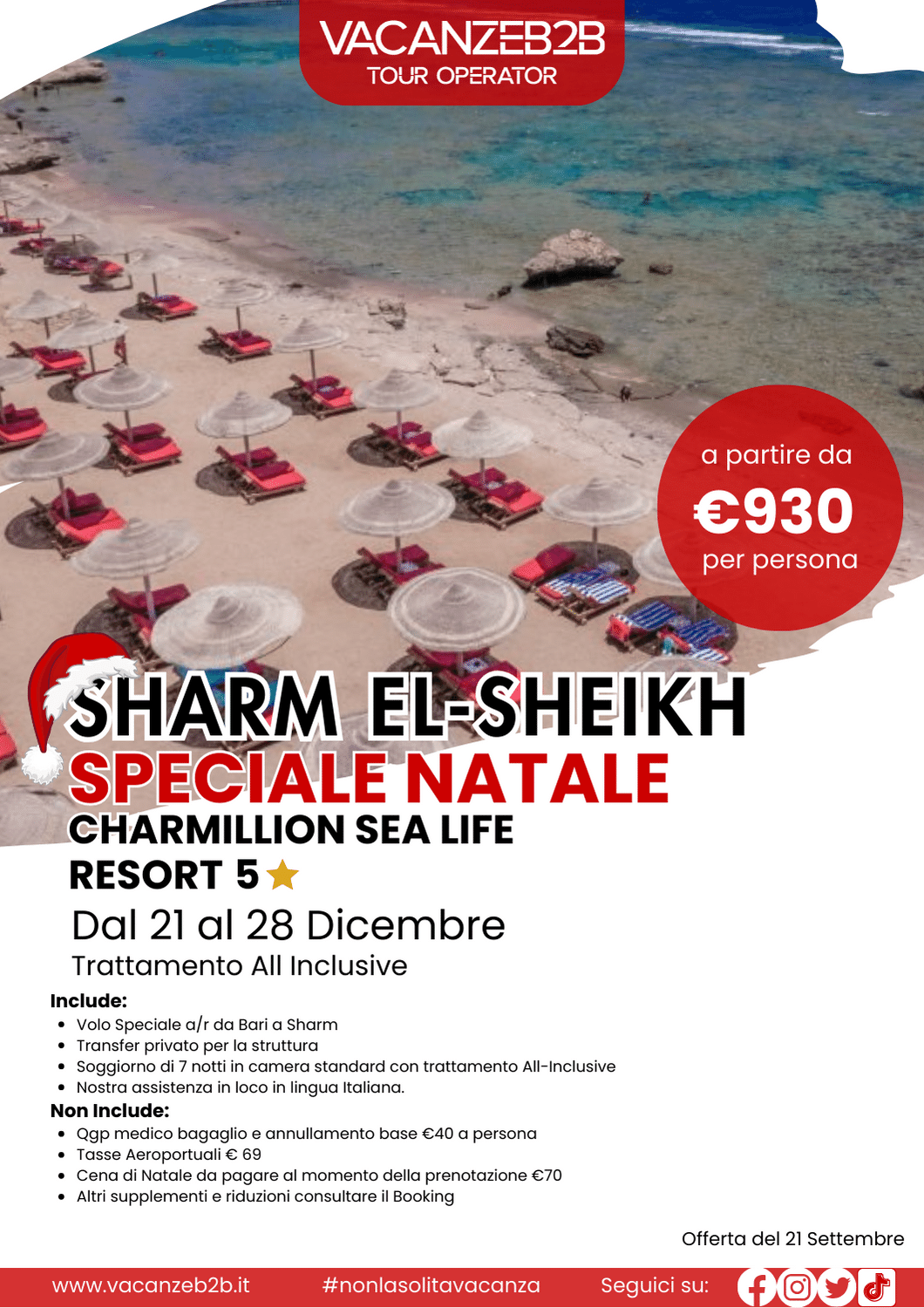 Natale a Sharm Charmillion Sea Life